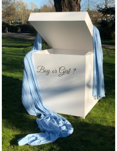 Gender Reveal Box 100cm  - Boy or Girl