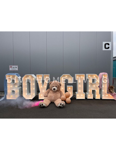 Boy or Girl Buchstaben zu verleihen für Babyshower - Gendear Reveal by Diva Home Living Events in Leverkusen