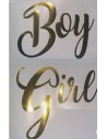 Schriftzug  - Gender Reveal Junge Oder Mädchen