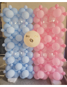 Gender Reveal Fotohintergrund zu Verleihen - Kindergeburtstag  Party online - ⁩⁦Verleih