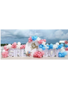 Boy or Girl gender reveal party dekoration