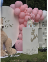 Gender Reveal, Teddybär, babyparty, babyshower, rauch bombe, überraschungsbox, Kindergeburtstag, Deko, Geburtstag, Oh Ba