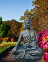 Gross Buddha - Gartenfiguren